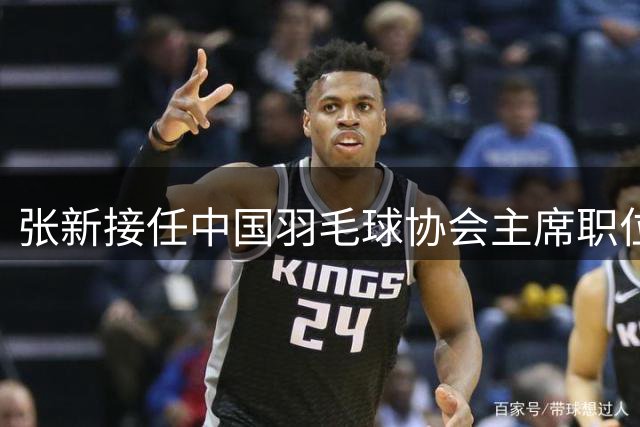 张新接任中国羽毛球协会主席职位